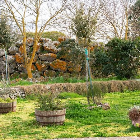 Agriturismo Nuragh'Elighe Sindia エクステリア 写真