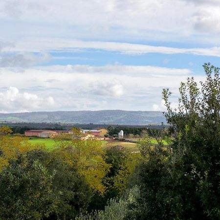 Agriturismo Nuragh'Elighe Sindia エクステリア 写真