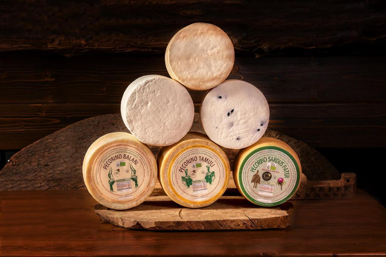 Agriturismo Nuragh'Elighe Sindia エクステリア 写真