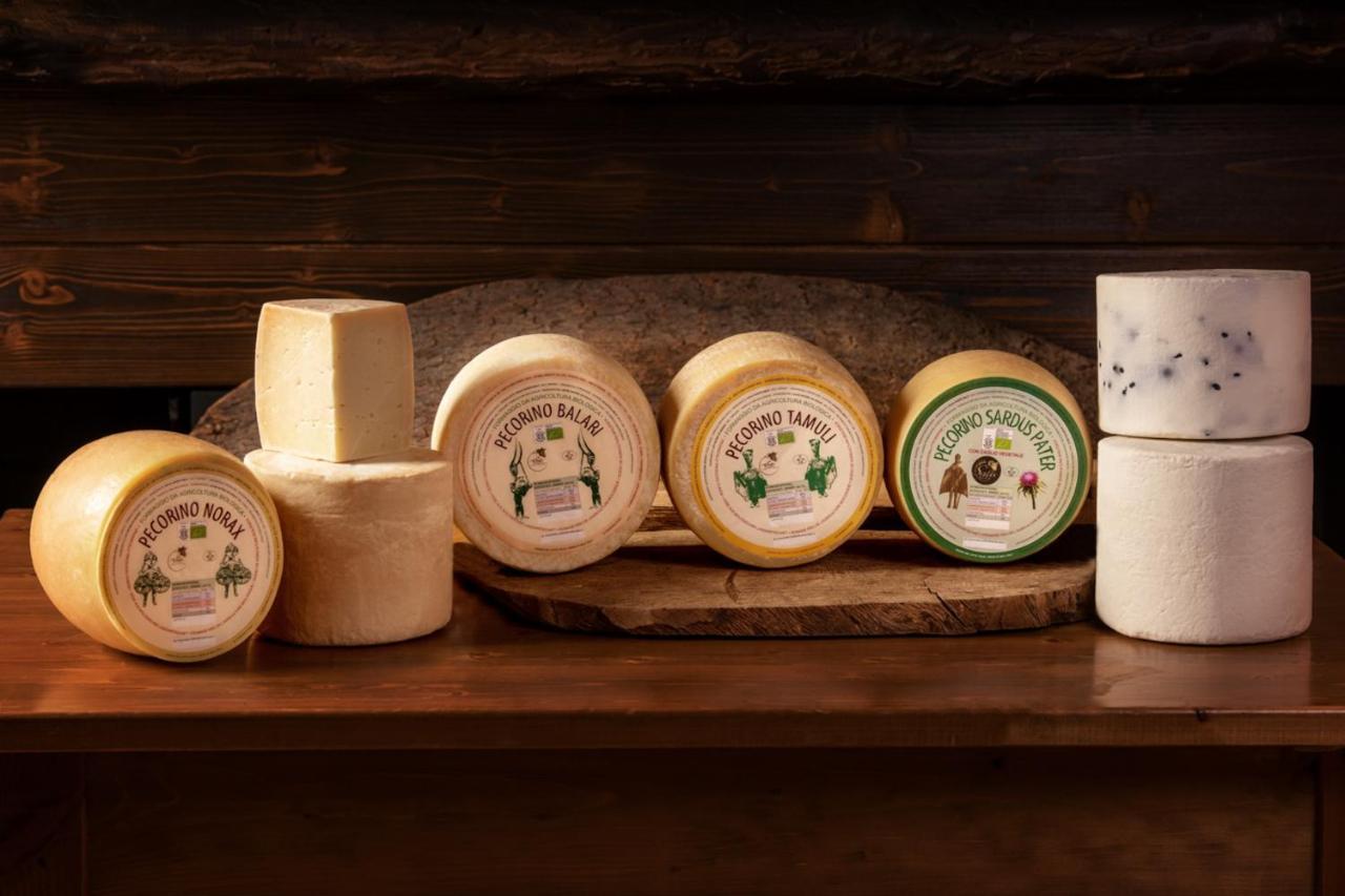 Agriturismo Nuragh'Elighe Sindia エクステリア 写真