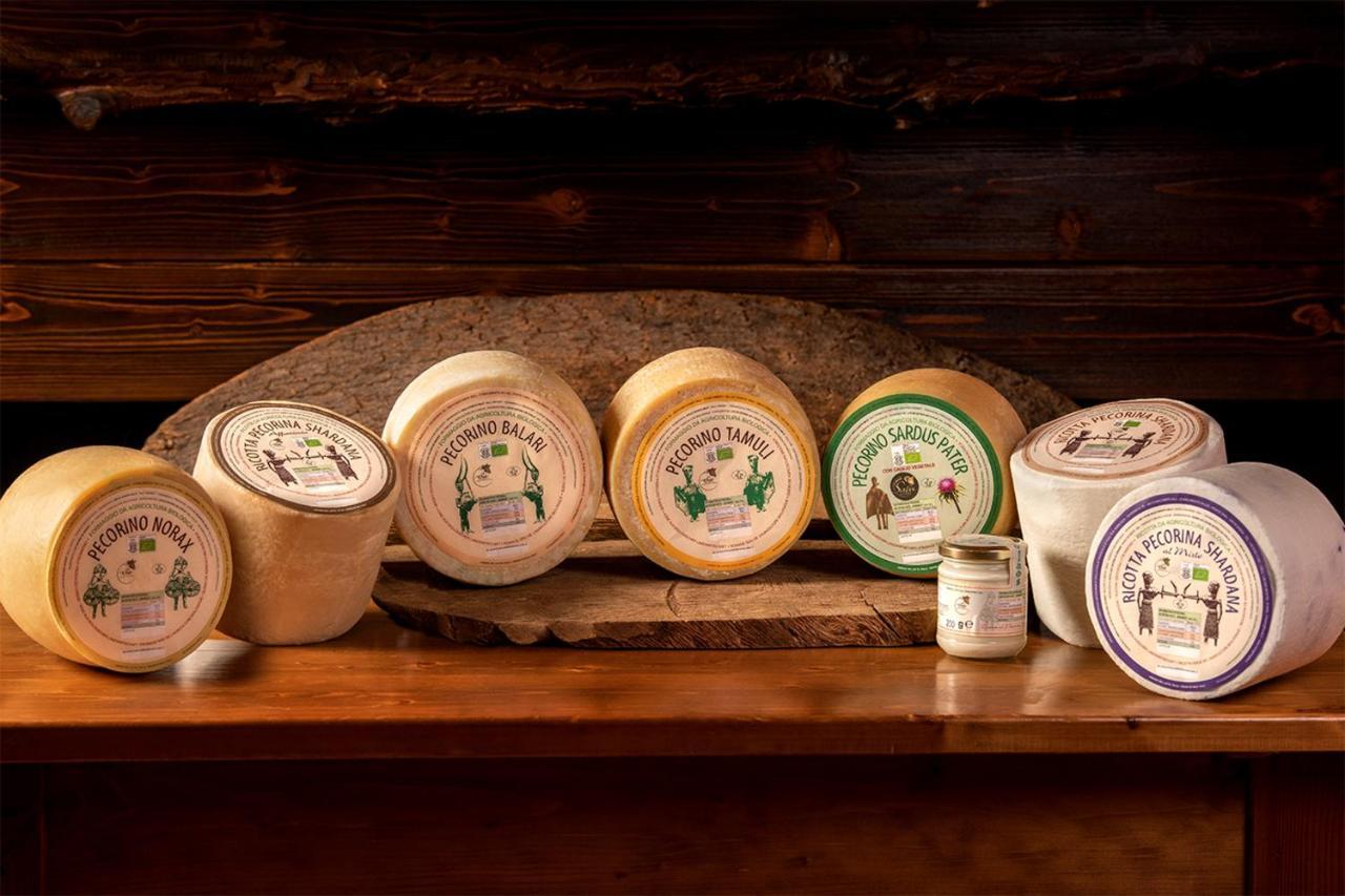 Agriturismo Nuragh'Elighe Sindia エクステリア 写真