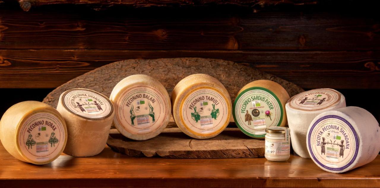 Agriturismo Nuragh'Elighe Sindia エクステリア 写真