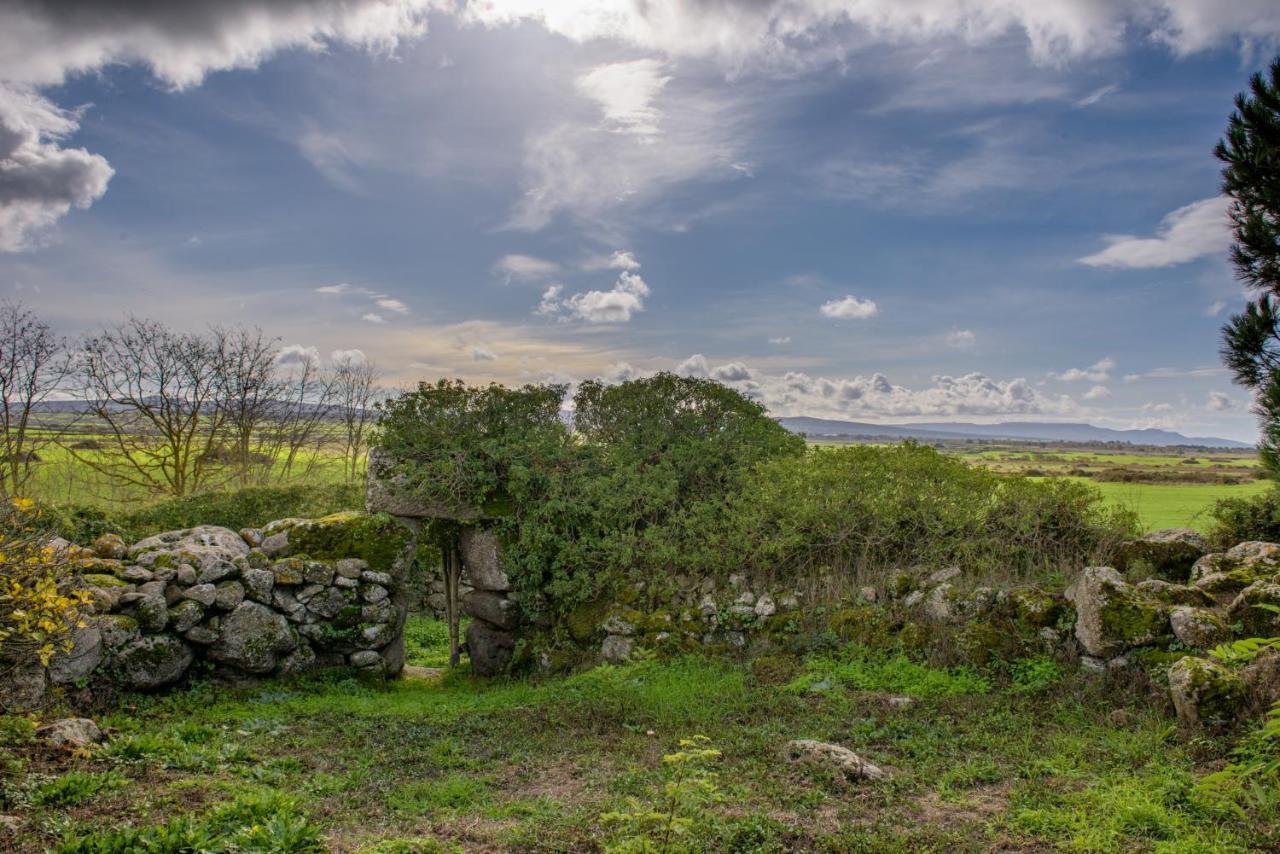 Agriturismo Nuragh'Elighe Sindia エクステリア 写真