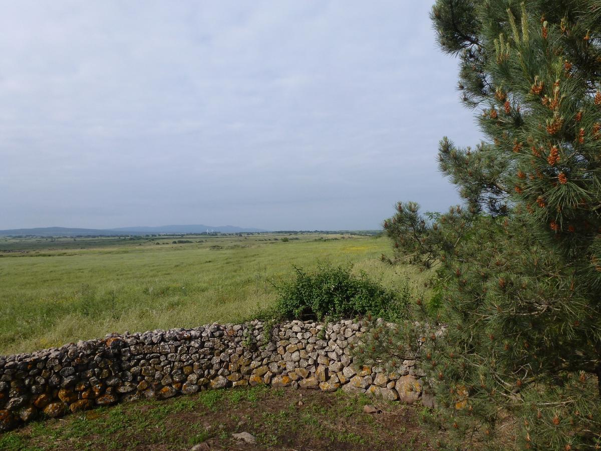 Agriturismo Nuragh'Elighe Sindia エクステリア 写真