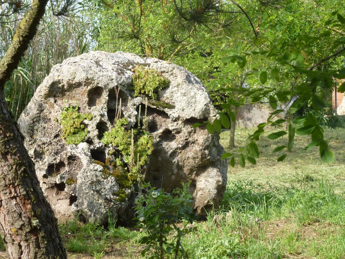 Agriturismo Nuragh'Elighe Sindia エクステリア 写真