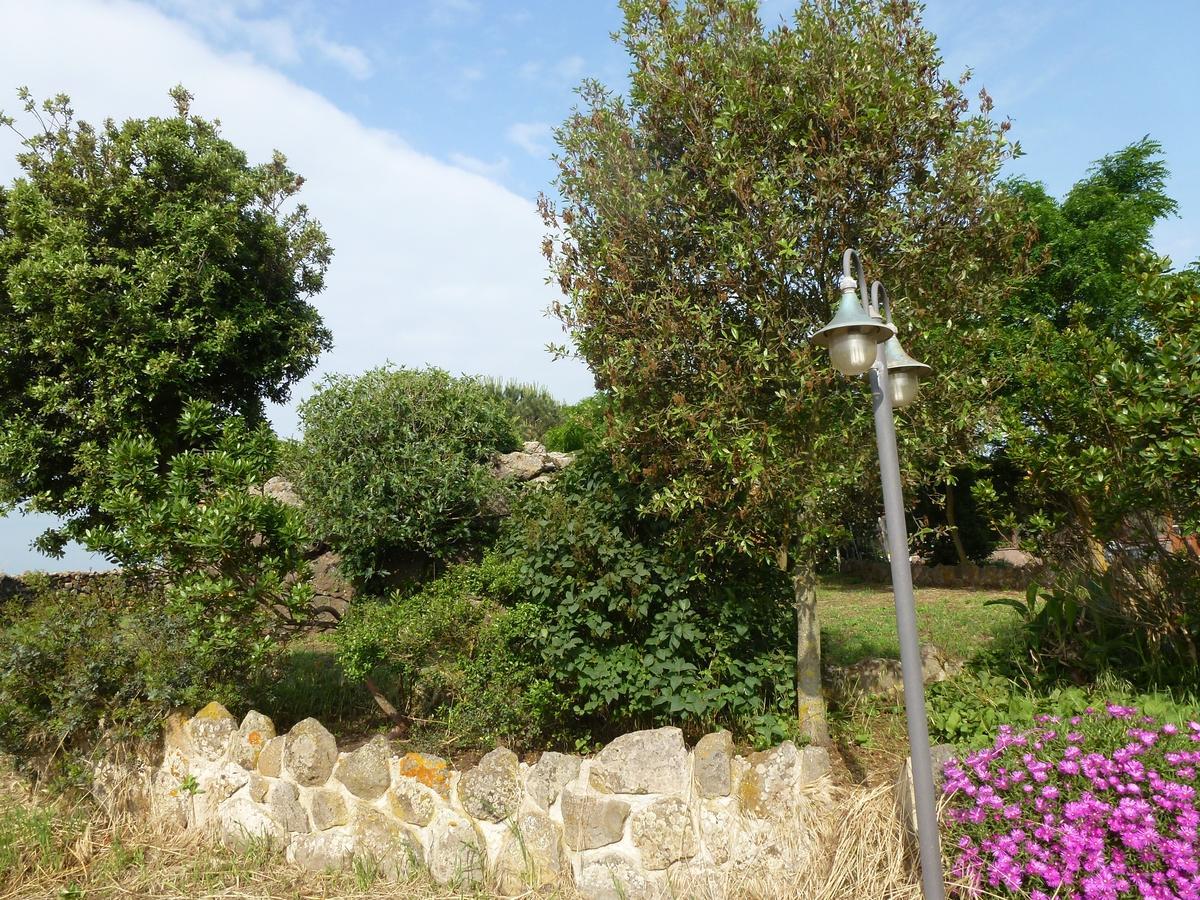 Agriturismo Nuragh'Elighe Sindia エクステリア 写真