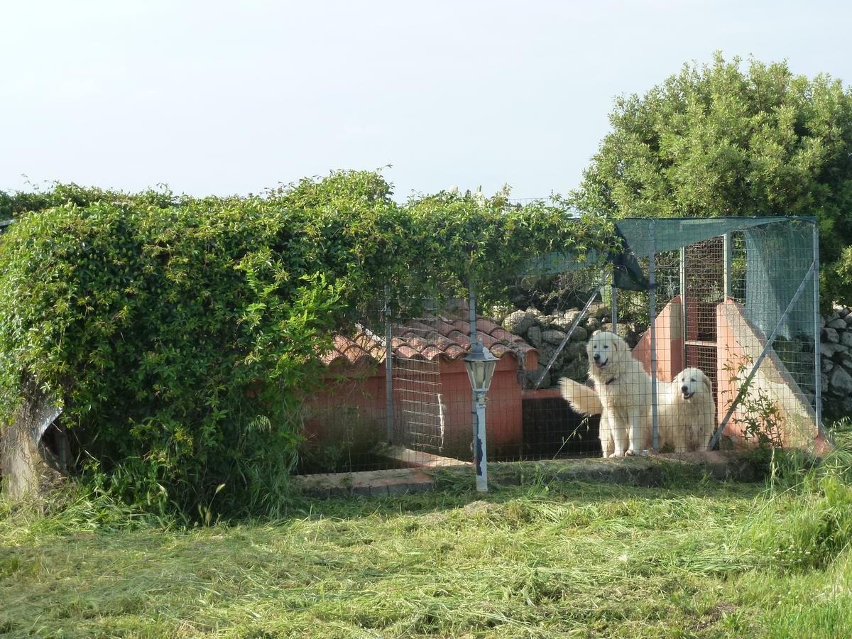 Agriturismo Nuragh'Elighe Sindia エクステリア 写真