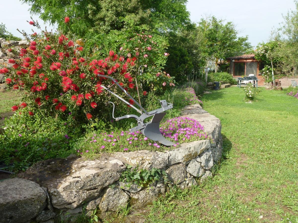 Agriturismo Nuragh'Elighe Sindia エクステリア 写真